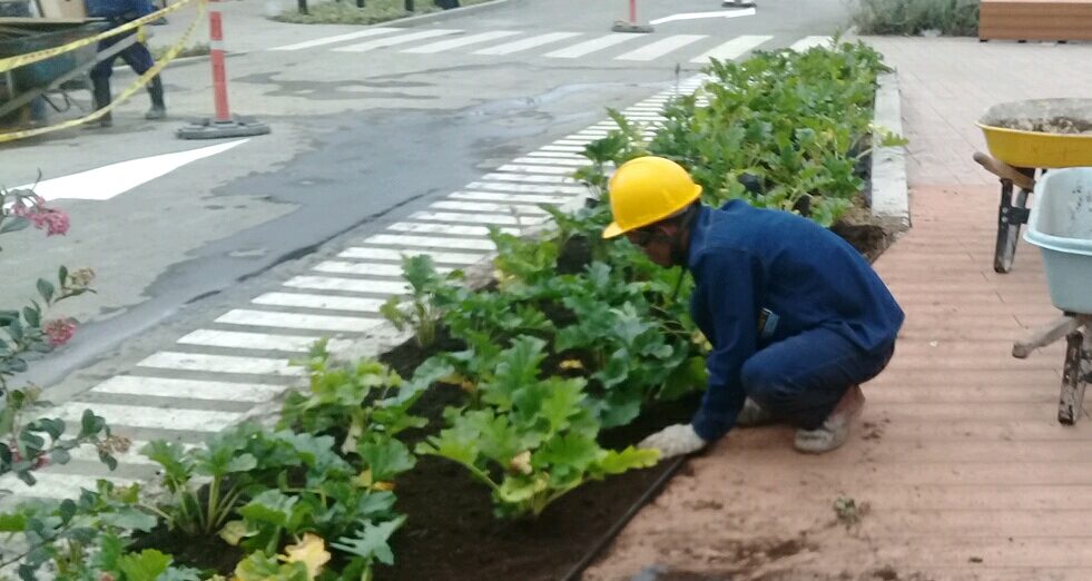 IMG-20180302-WA0036 (2)