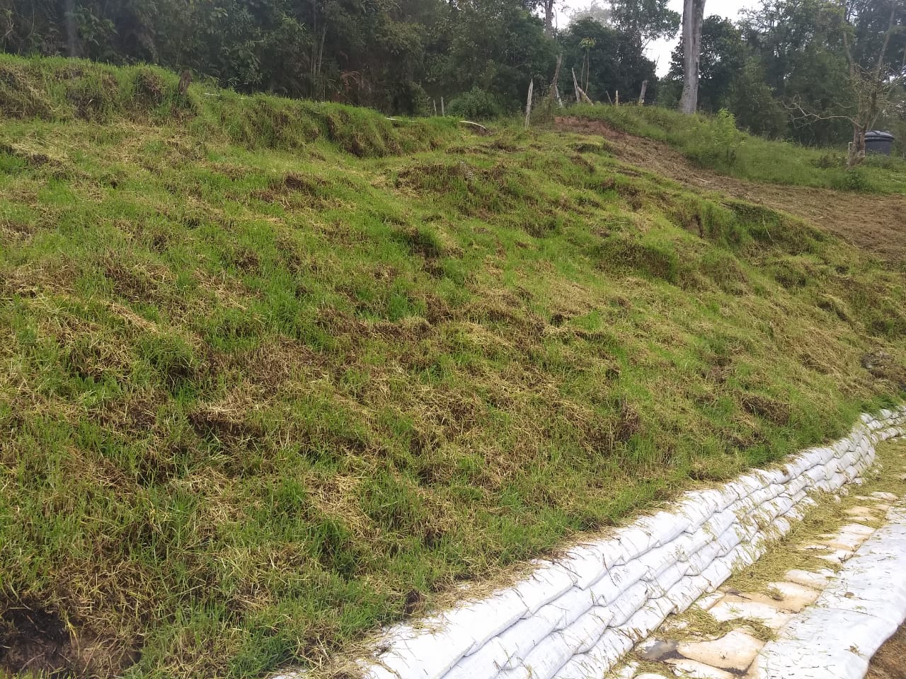 PHOTO-2019-06-17-09-27-41