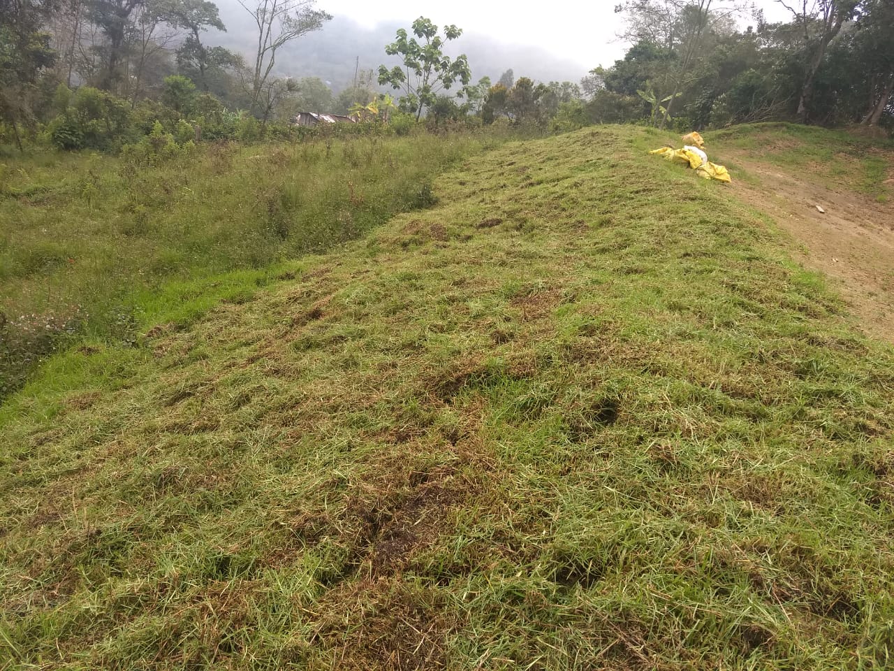 PHOTO-2019-06-17-09-29-26