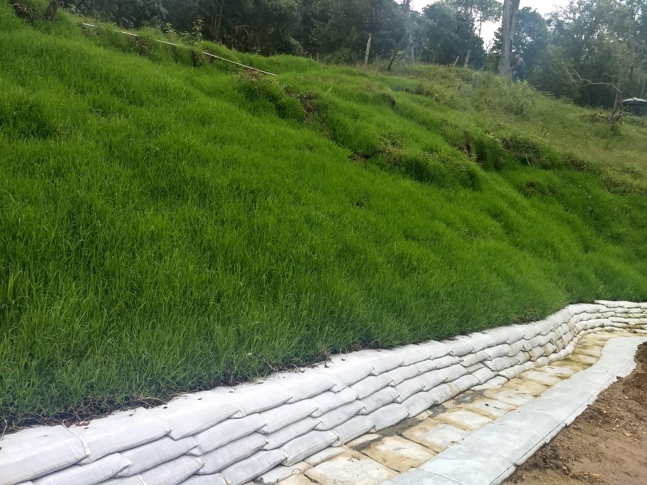 PHOTO-2019-07-09-09-38-49