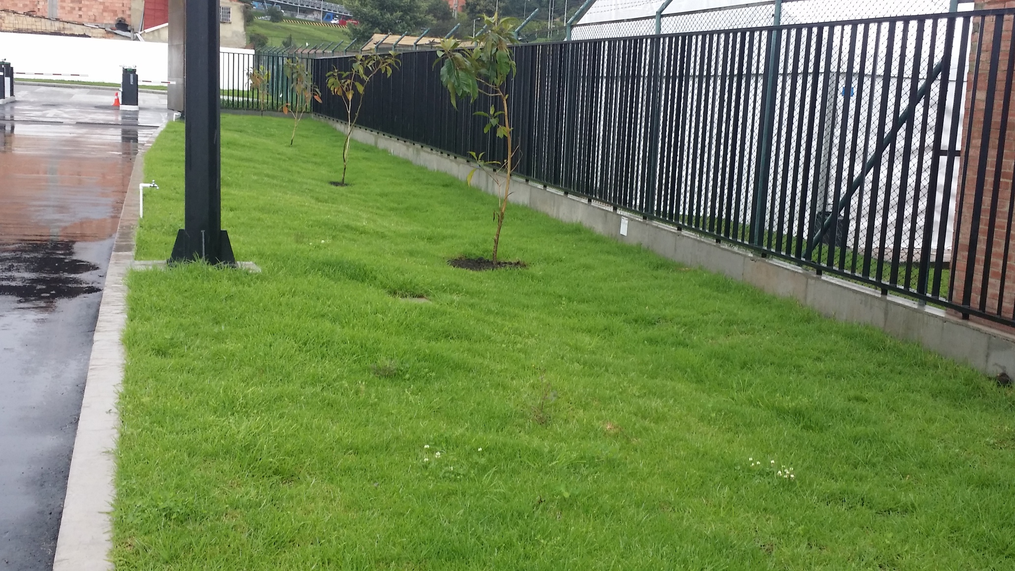 empradización Club La Colina Colsubsidio.Bogotá D.C.